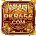 PKR656 Game Free Download Latest Version 2026